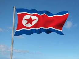 Press Statement of Vice Foreign Minister of  DPRK