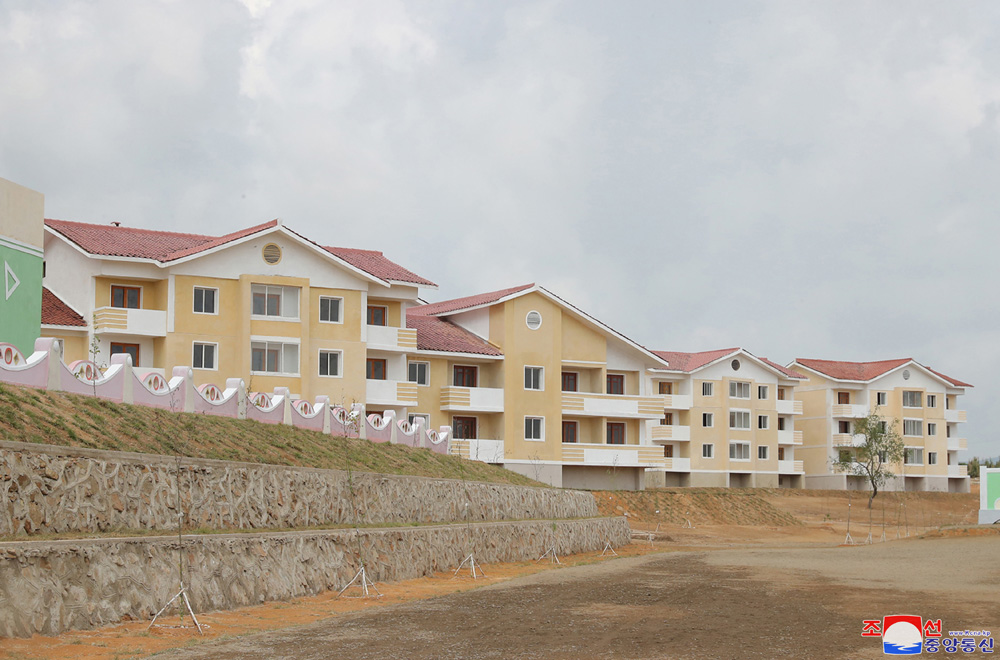 دكتور يحيي خيرالله