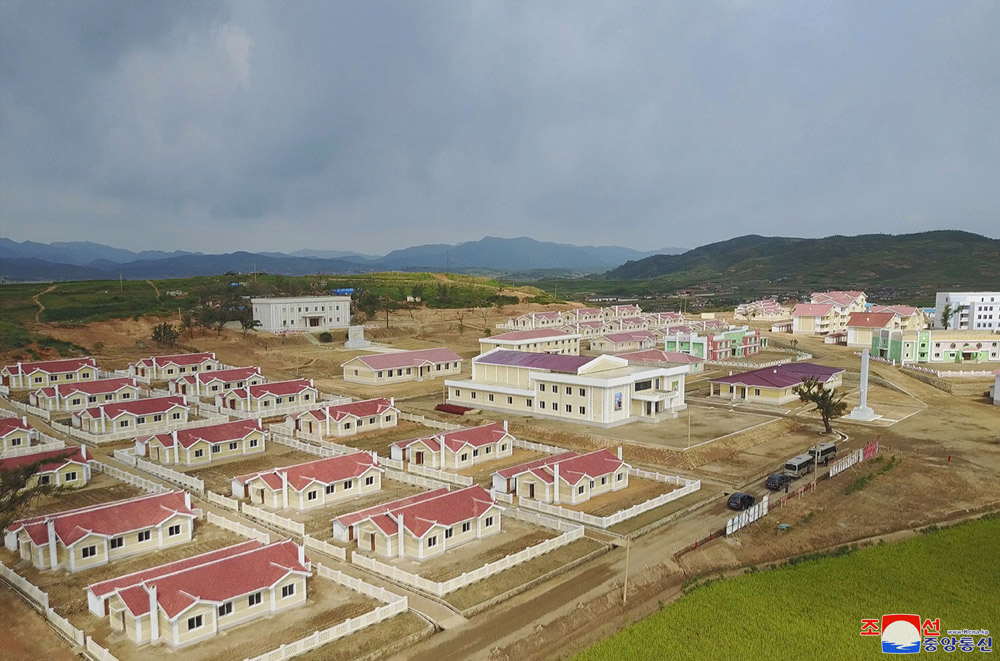 دكتور يحيي خيرالله - يحيي خيرالله