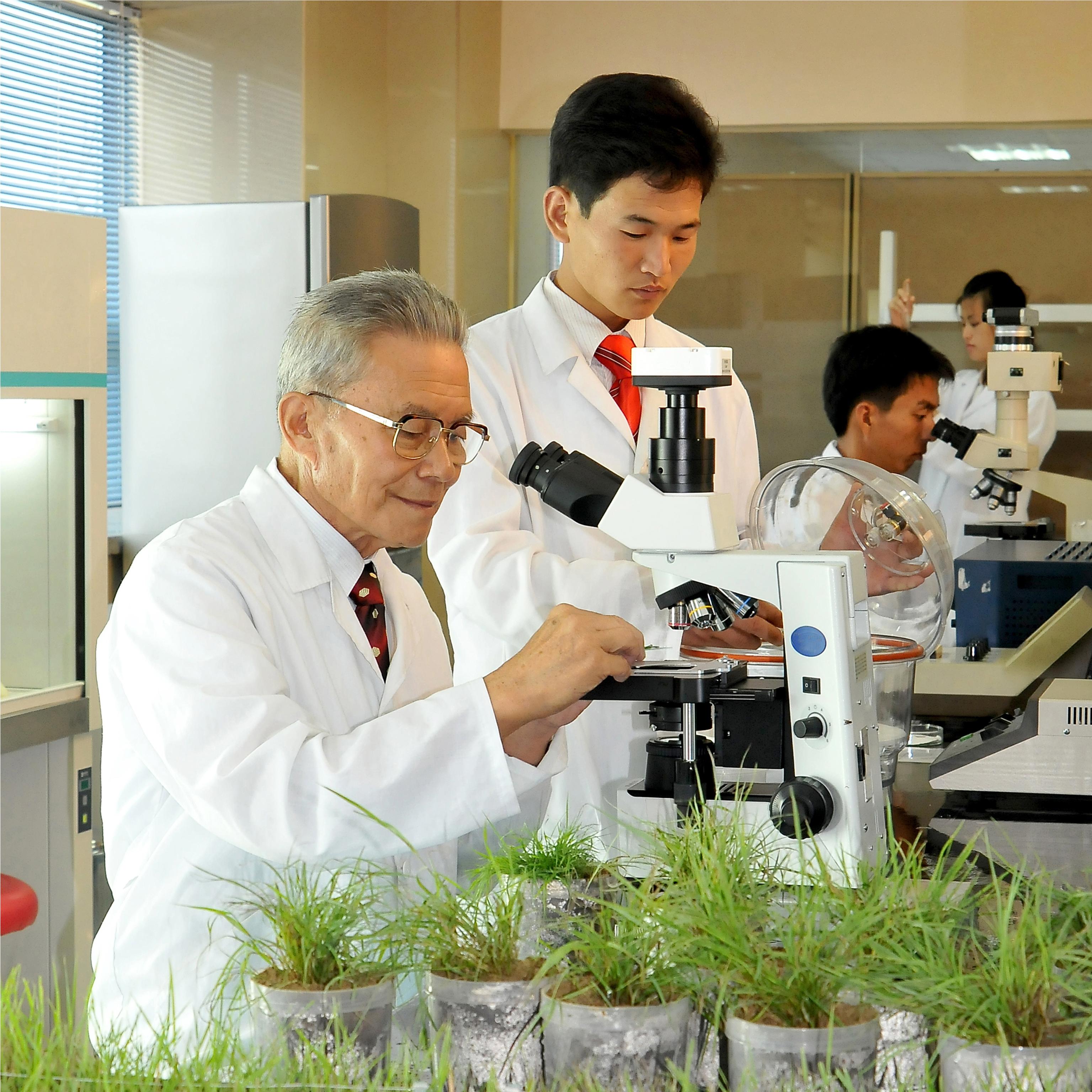 الباحثون في كوريا يحققون نجاحا بأستخدام تكنولوجيا النانو في مجال الزراعة