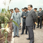 أب الشعب ..  بمناسبة الذكرى 114 لميلاد الرئيس كيم ايل سونغ